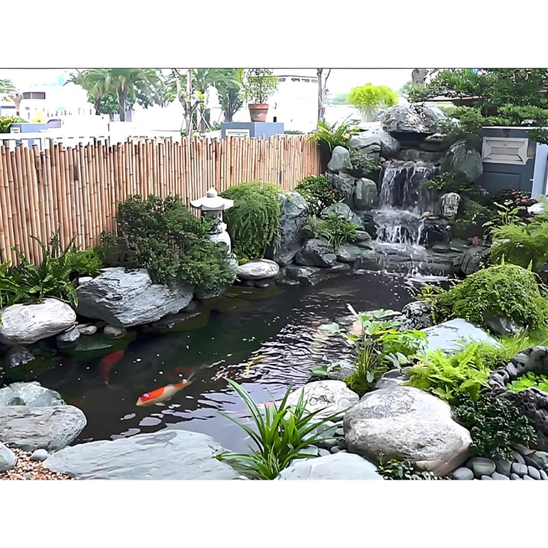 假山锦鲤鱼池