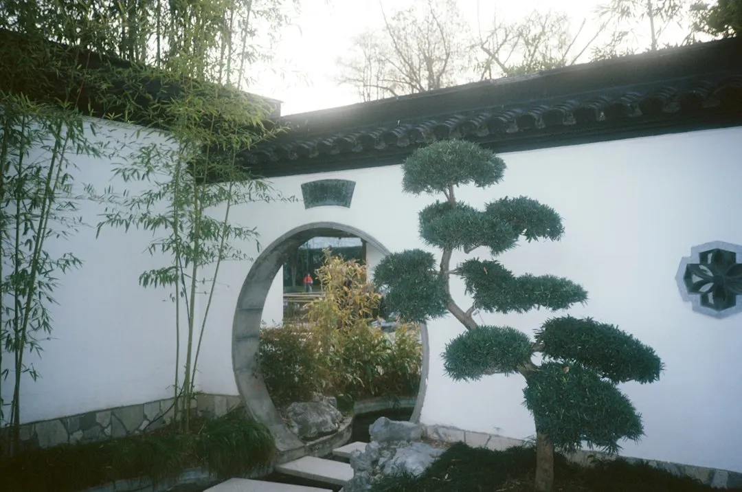 杭州私家庭院设计如何兼顾中式韵味与现代功能:方案要点与落地实践正文配图 2